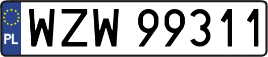WZW99311