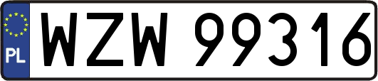 WZW99316