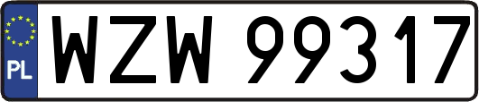 WZW99317