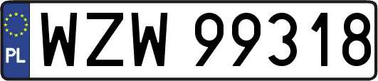 WZW99318