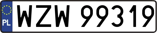 WZW99319