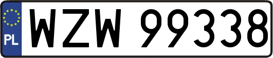 WZW99338