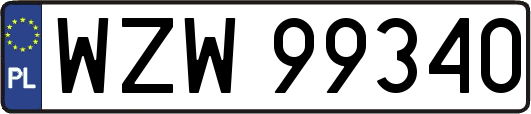 WZW99340