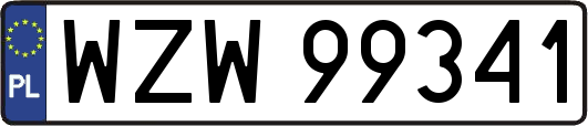 WZW99341