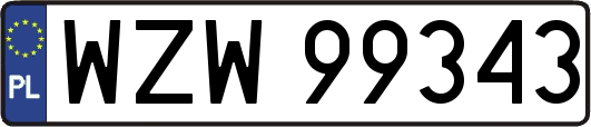 WZW99343