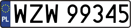 WZW99345