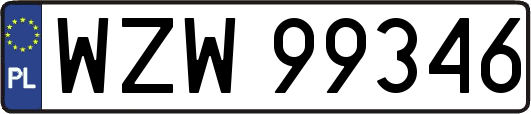 WZW99346