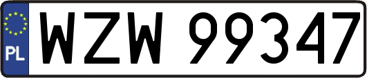 WZW99347