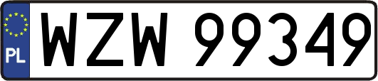 WZW99349