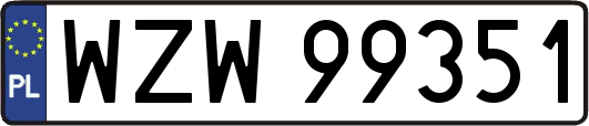 WZW99351