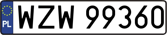 WZW99360