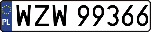WZW99366