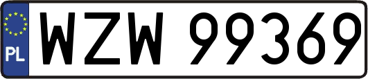 WZW99369
