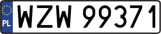 WZW99371