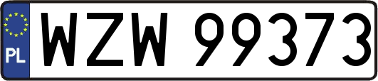 WZW99373