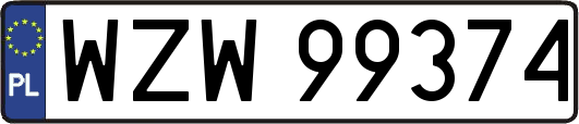 WZW99374