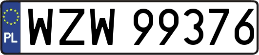 WZW99376
