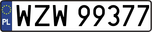 WZW99377