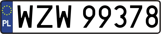 WZW99378