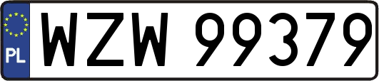 WZW99379