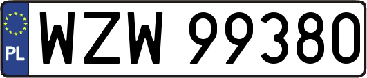WZW99380