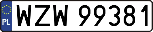 WZW99381