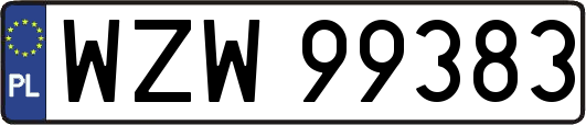WZW99383