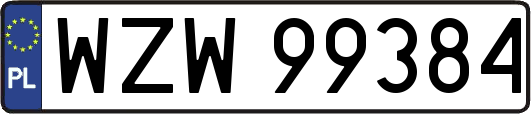 WZW99384
