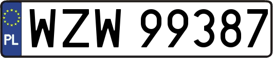 WZW99387