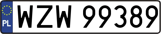 WZW99389