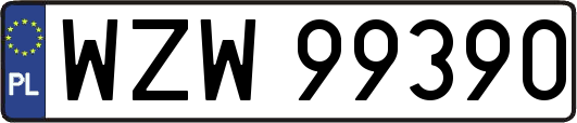 WZW99390