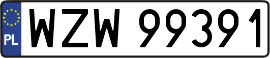 WZW99391