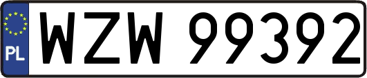 WZW99392