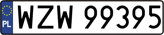 WZW99395