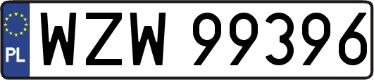 WZW99396