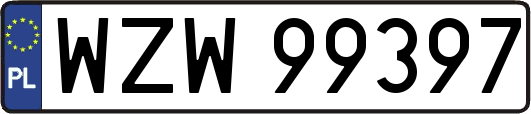 WZW99397