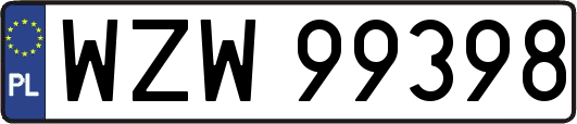 WZW99398