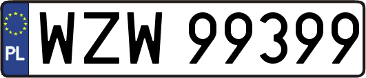 WZW99399