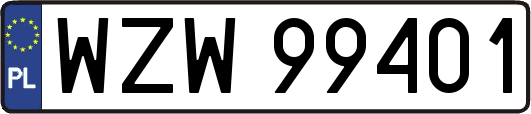 WZW99401