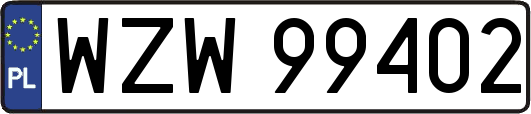 WZW99402