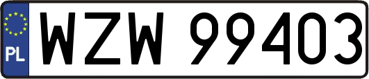 WZW99403