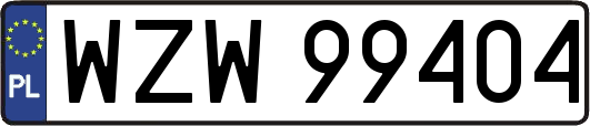WZW99404