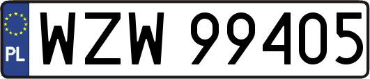 WZW99405