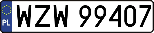 WZW99407