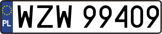 WZW99409