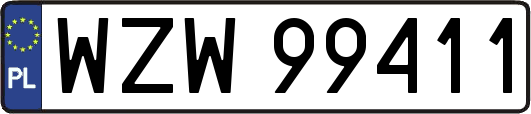 WZW99411