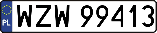 WZW99413