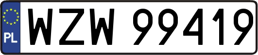 WZW99419
