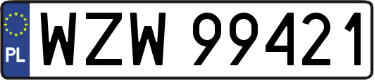 WZW99421