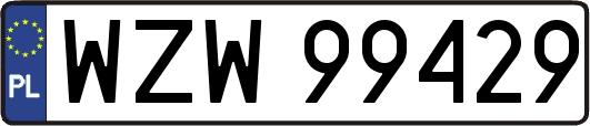 WZW99429